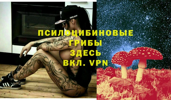 не бодяженный Верея